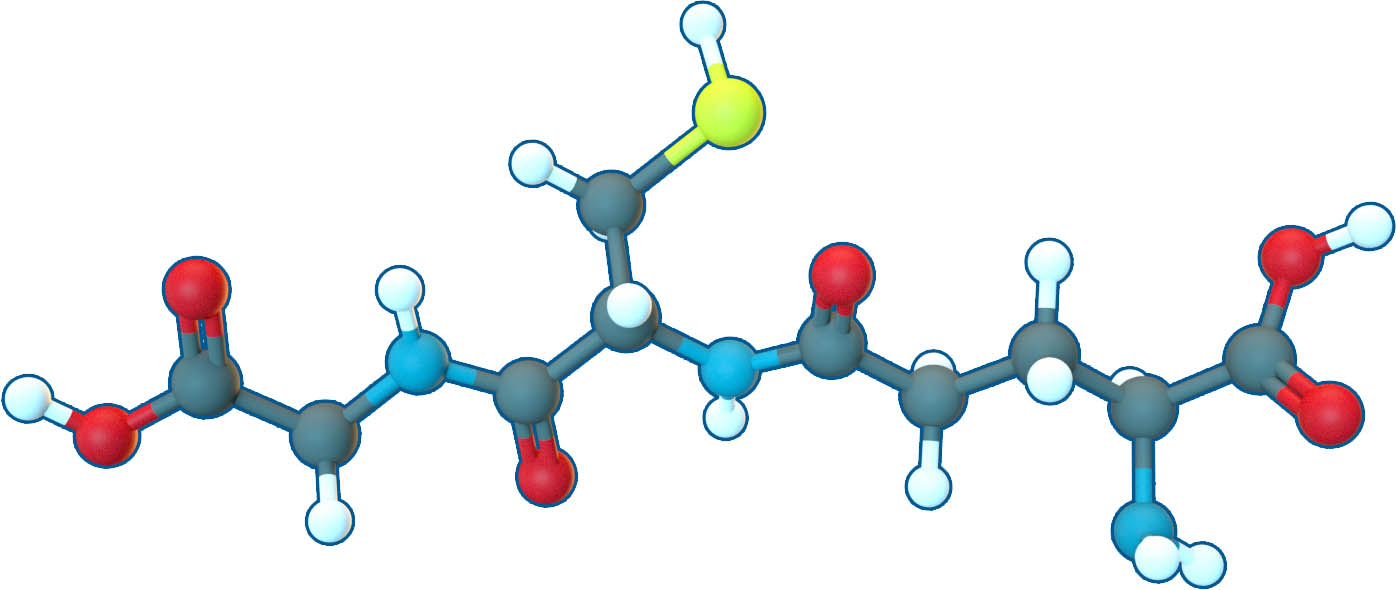 Image of L-Glutathione | C10H17N3O6S | Supreme Pharmatech